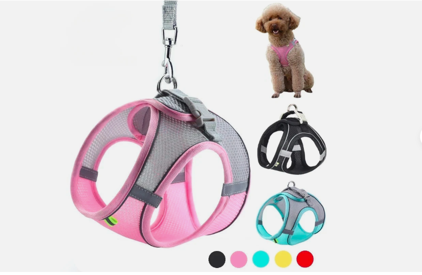 Puppy Harness Set Dog Accessories Adjustable Puppy and Cat Leash Vest