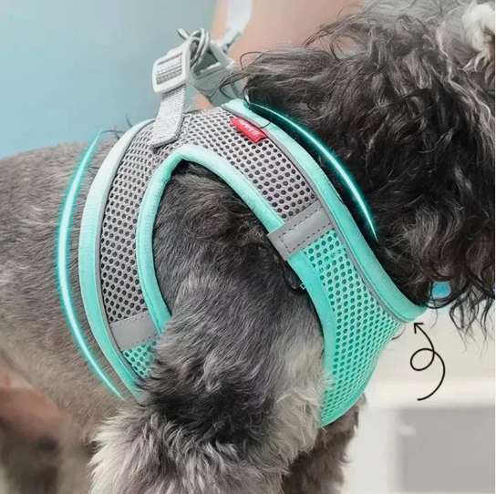 Puppy Harness Set Dog Accessories Adjustable Puppy and Cat Leash Vest - Image 5